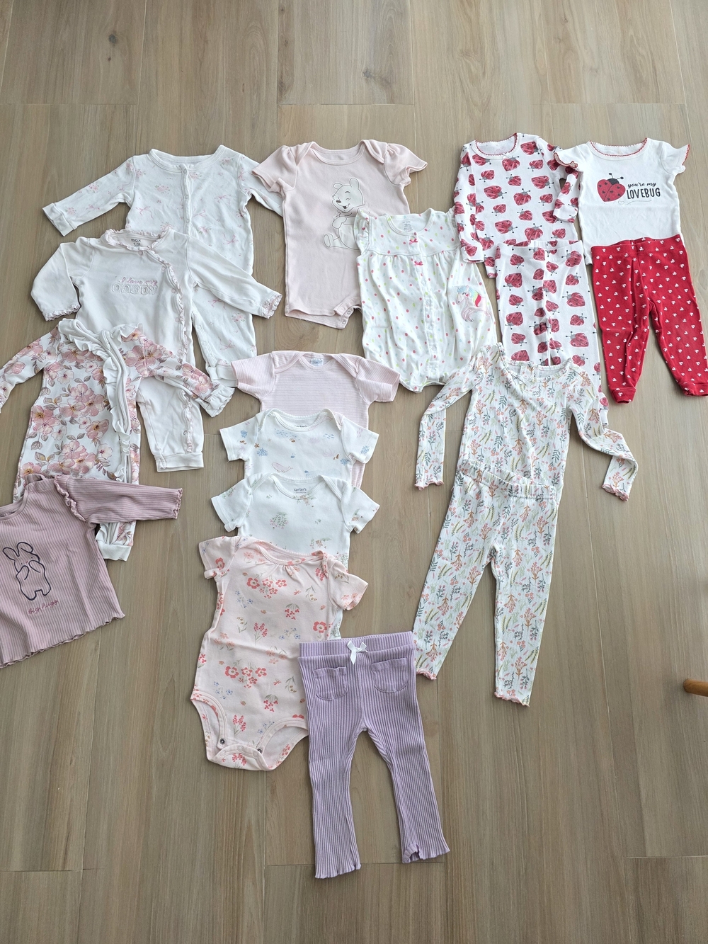Baby Girl Clothing Bundle 9–12M / 12M | 14 Pieces | Carter's, Disney, Max & More